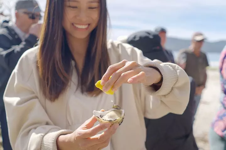 Bruny Island Food, Sightseeing, Guided Lighthouse Tour & Lunch