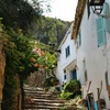 Image 3: Tramuntana Hidden Gems Scenic Drive a través de los pueblos de Mall...