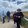 Image 15: Great Ocean Road Small Group Tour with Dingos, Sparkling & Lunch