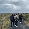 Image 11: Great Ocean Road 12 apostles PRIVATE Luxury Tour 5 PAX all incl.