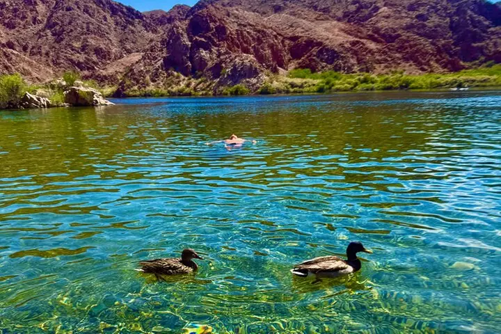 Emerald Cave Kayaking Tour from Las Vegas, Best Dam 1/2 Day Trip