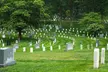 Capitol Hill & US Capitol Entry, DC Bus Tour, Arlington Cemetery - Second Medium