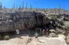 Guided Hike in the Sonoran Desert
