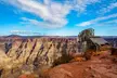 Grand Canyon West Rim by Plane with Optional Helicopter & Skywalk - Second Medium