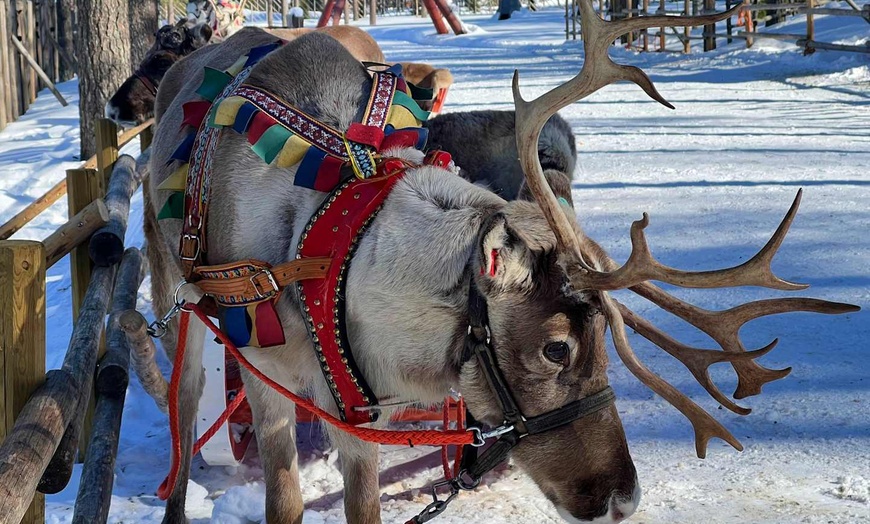 Image 9: ✈ LAPONIE | Rovaniemi - Rovaniemi & Escapade Lapone 4* - Circuit