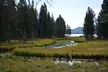 DeLacy Creek Trail Hike to Shoshone Lake with Lunch - Second Medium