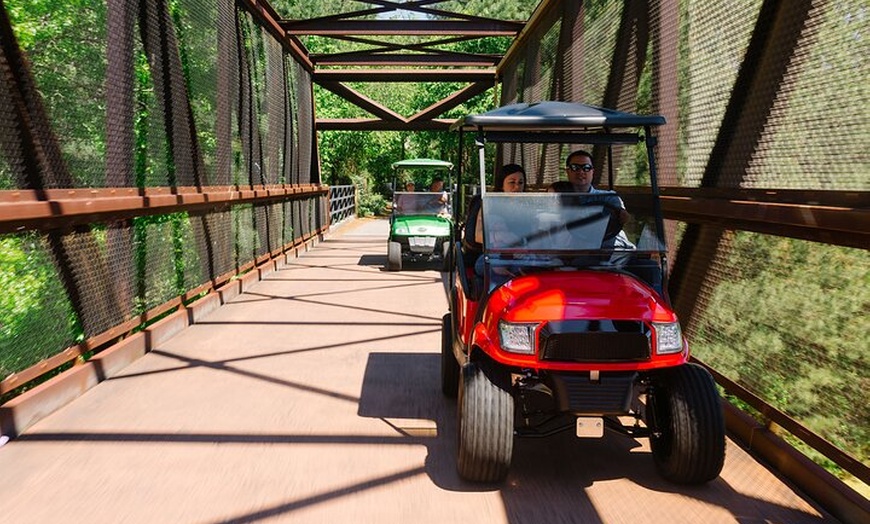 Image 1: Magical Golf Cart Tour Through Peachtree City Trails