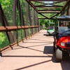 Image 1: Magical Golf Cart Tour Through Peachtree City Trails