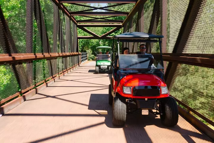 Magical Golf Cart Tour Through Peachtree City Trails