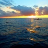 Image 4: VIP Sunset Tour in Cancun by Yacht