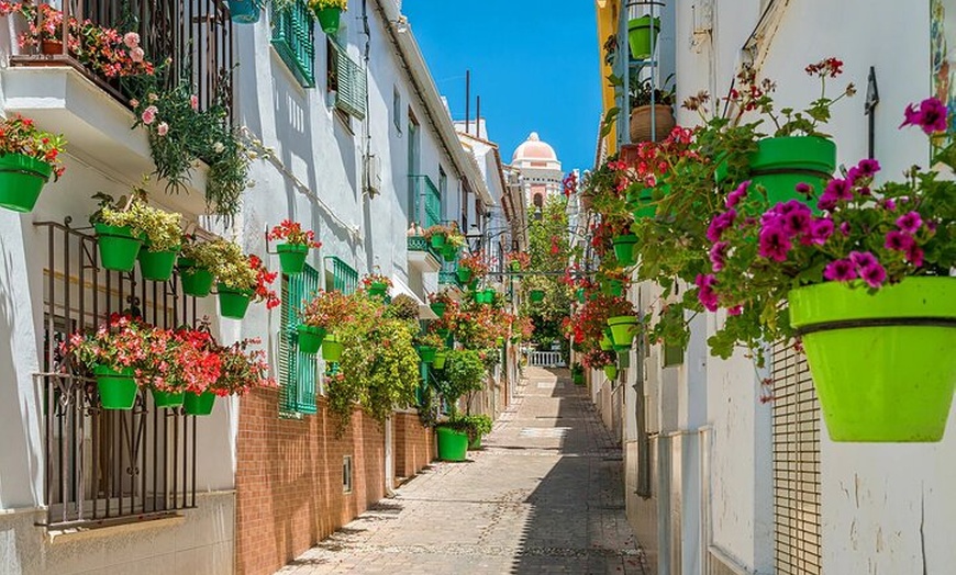 Image 9: Alquiler de Velero en Estepona para grupos de 10 personas