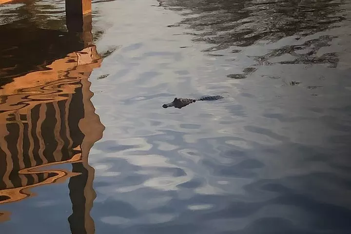 Pontoon Pub Crawl, 5 Lakeside Pubs and Restaurants Visit by Boat