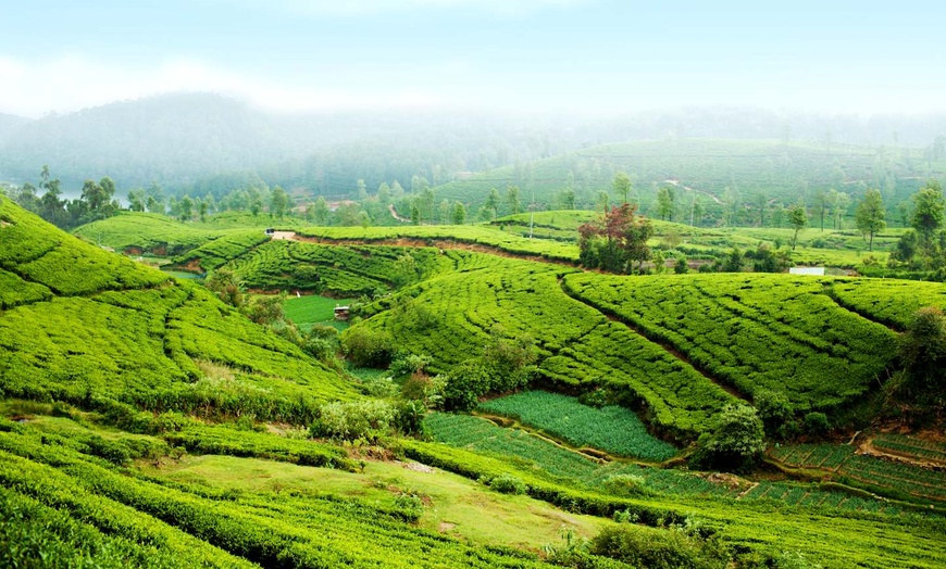 Image 29: ✈ INDIA | From Delhi to Colombo - Enchanting Getaways in India and ...