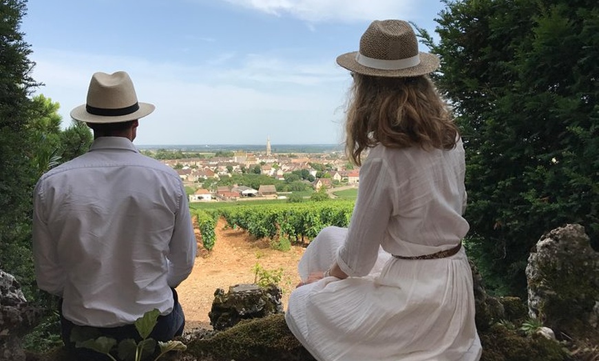Image 3: Excursion privée d'une journée en Bourgogne : Côte DE Beaune & Côte...