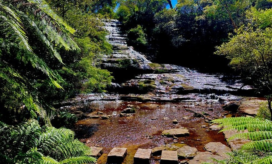 Image 4: Blue Mountains Sydney Zoo koalas & kangaroos Small Group Tour