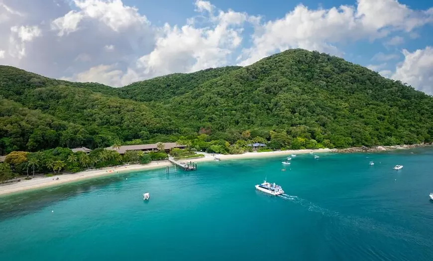 Image 9: Whale Watching Tour & Fitzroy Island From Cairns