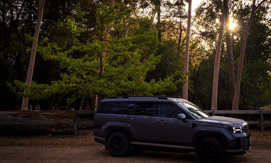 Image 4: Burra Township to Mount Bryan History and Landscape Day Tour