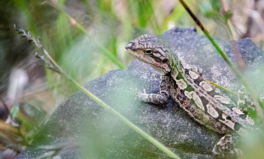 Image 18: 2-Day Melbourne to Adelaide Tour via Great Ocean Road Grampians