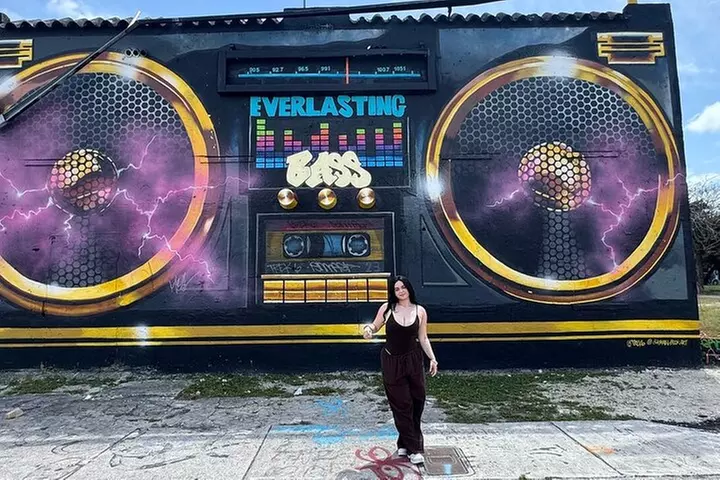 Miami Magic City: The Ultimate One-Day Insider Tour