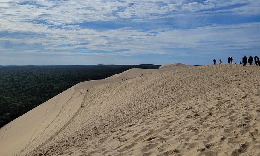 Image 6: Visite privée à Dune Du Pilat et Oyster Village