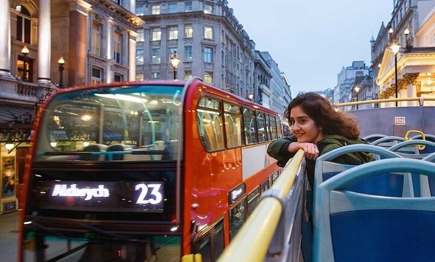 Image 13: London Walking Tour VIP