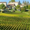 Image 8: Excursion d'une journée complète de Bordeaux à Saint Émilion avec d...
