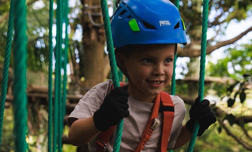 Image 3: Coffs Harbour Climbing & Junior Ropes Course