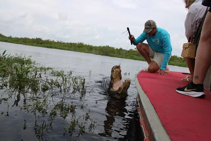 Airboat Swamp Tour with Transportation from New Orleans