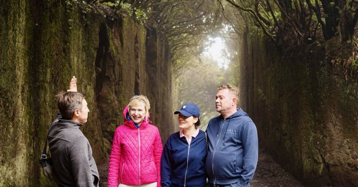 Tour privado al Teide y al bosque de Anaga en Tenerife