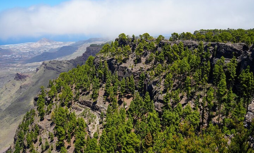 Image 2: Excursión a Artenara Visita a Tamadaba y degustación de sidra