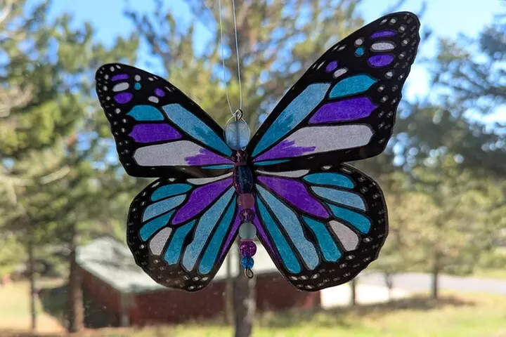 Dragonfly Suncatcher Art Kit in Estes Park