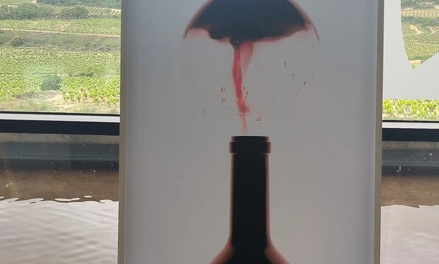 Image 23: Clase magistral de acceso y degustación exclusiva de bodegas secret...