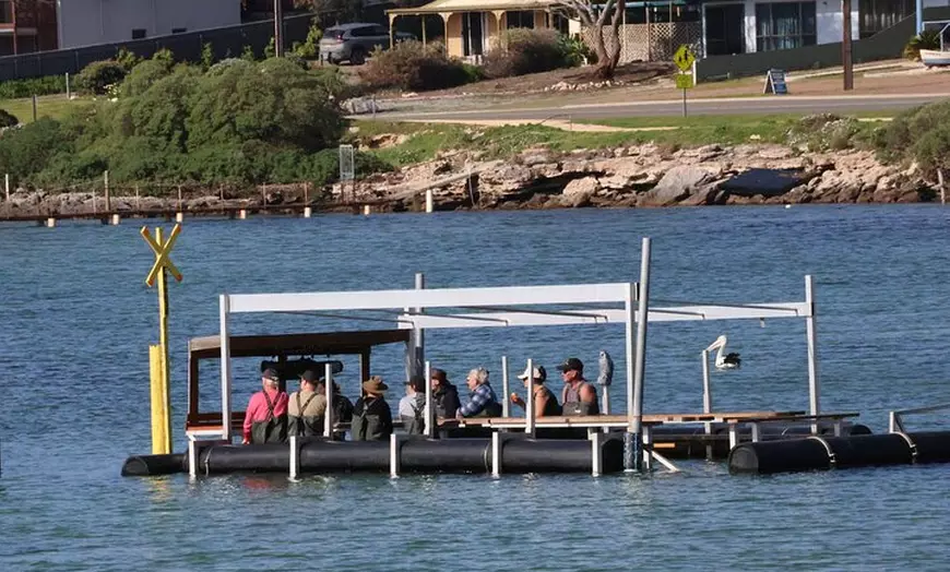 Image 8: Coffin Bay Oyster Farm Wading Tour & Tasting Experience