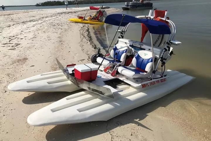 Boat tours of the Ten Thousand Islands/Everglades, Manatee, Shelling, Dolphins - Primary Image