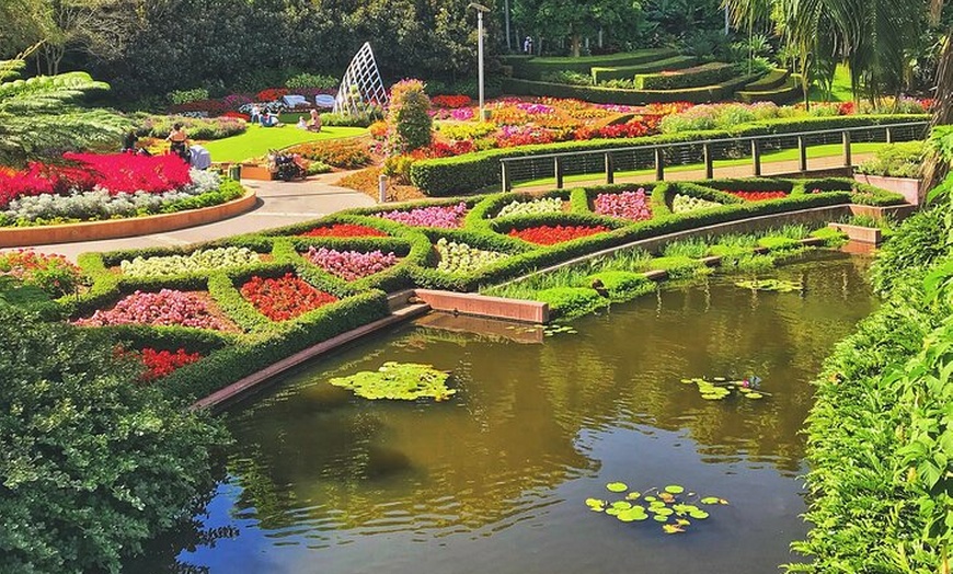 Image 5: Brisbane Insights Tour