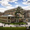 Image 5: Madrid : Entradas rápidas al Museo del Prado