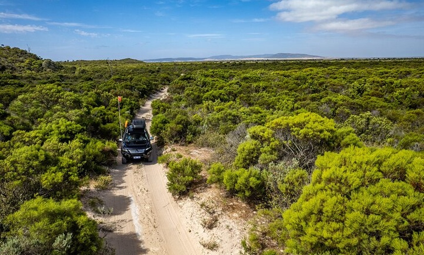 Image 5: Coffin Bay Tour with Oyster Shucking and Off Road Adventure