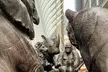 Financial District Walking Tour History, Culture, and Landmarks - Second Medium