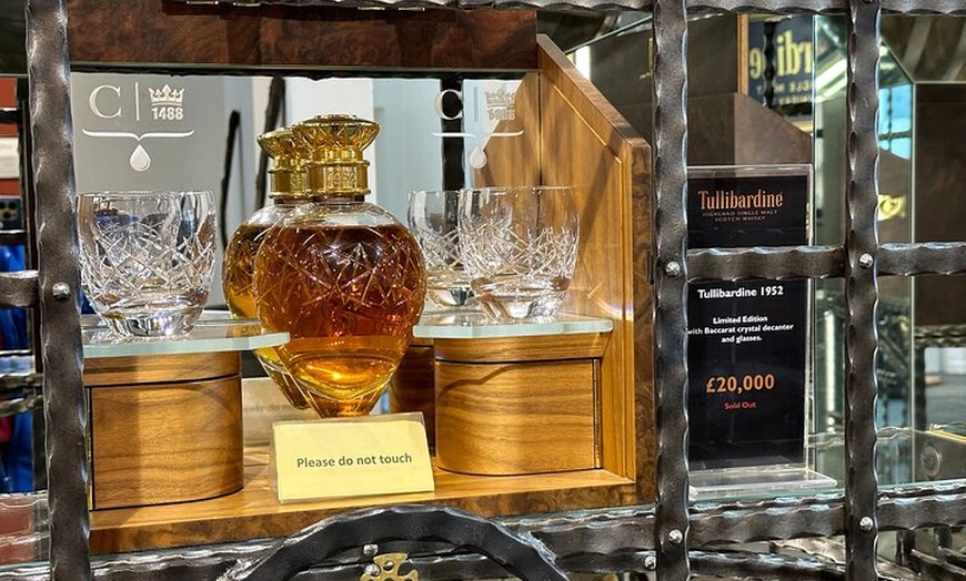 Image 10: The Highland Cows Experience in Scotland