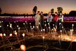 Uluru (Ayers Rock) Field of Light Sunrise Tour - Second Medium