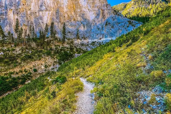 Mount Charleston Tour from Las Vegas