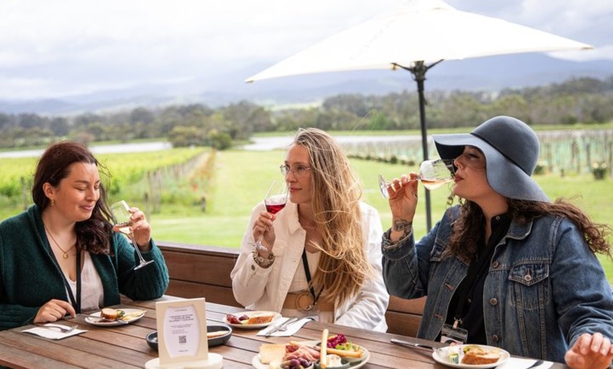 Image 6: From Melbourne: Hop On Hop Off Yarra Valley - RED Route
