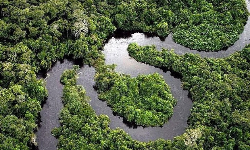 Image 6: Croc Spotting Jetski Experience in Cairns City