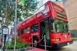 Houston's Official City & Mural Tour! - Second Medium