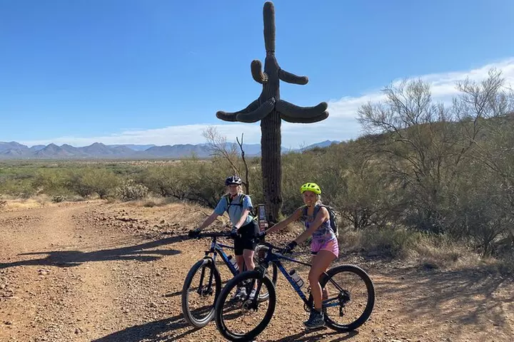 3 Hour Sonoran Desert Private Guided Mountain Bike Tour