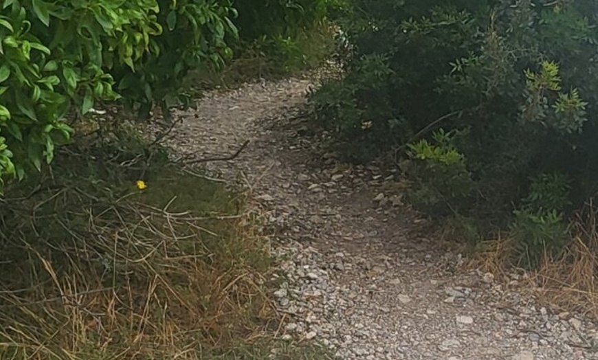 Image 11: Ruta a pie Tour Ibiza Ciudad a Dalt Villa