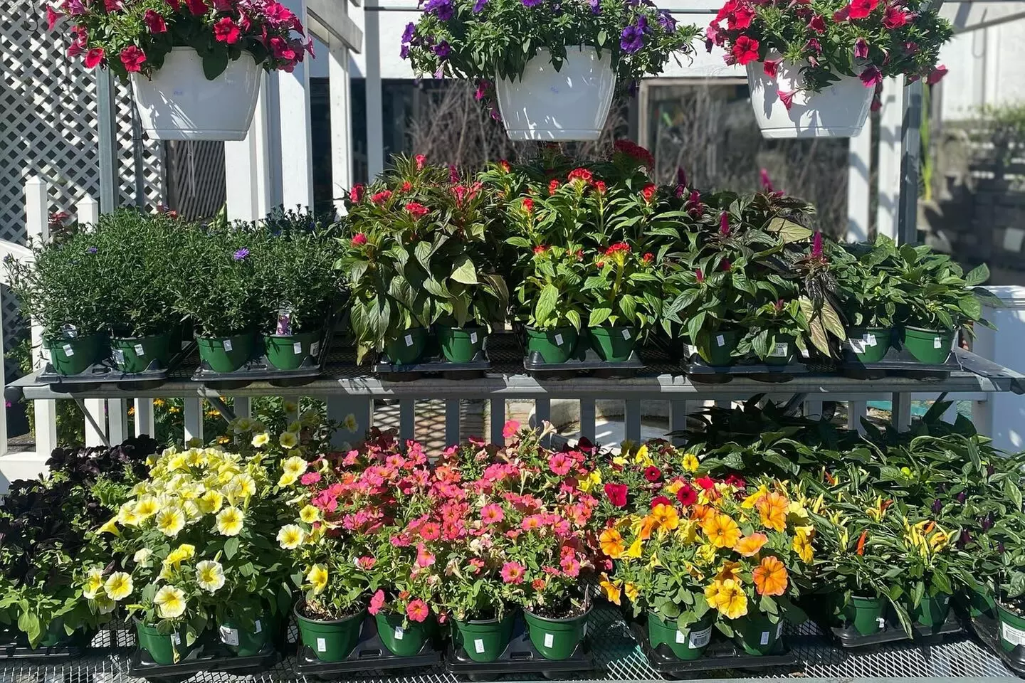 $25 For $50 Worth Of Floral Or Home Decor