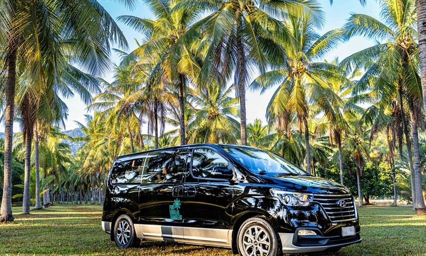 Image 3: Daintree Eco Lodge to Cairns ONE WAY Private Transfer 6 pax