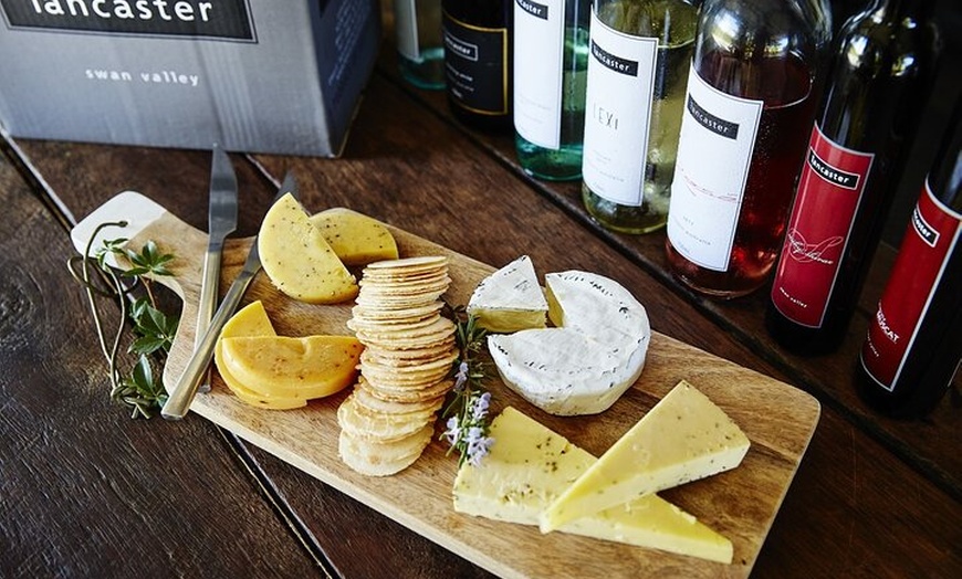 Image 4: Cruising the Swan Tour