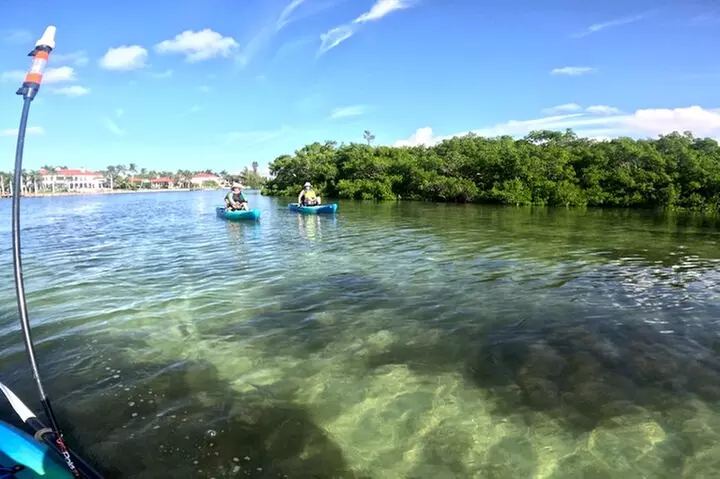 Lido Key Pedal Kayak Tour in Sarasota